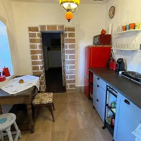 Roza Vendeghaz Bujak