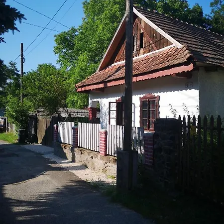 Róza